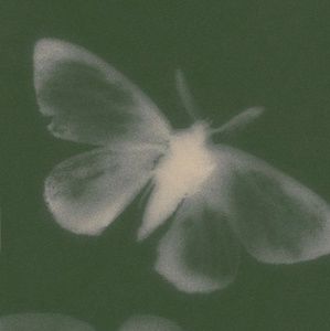 Meet your Posher, Sami